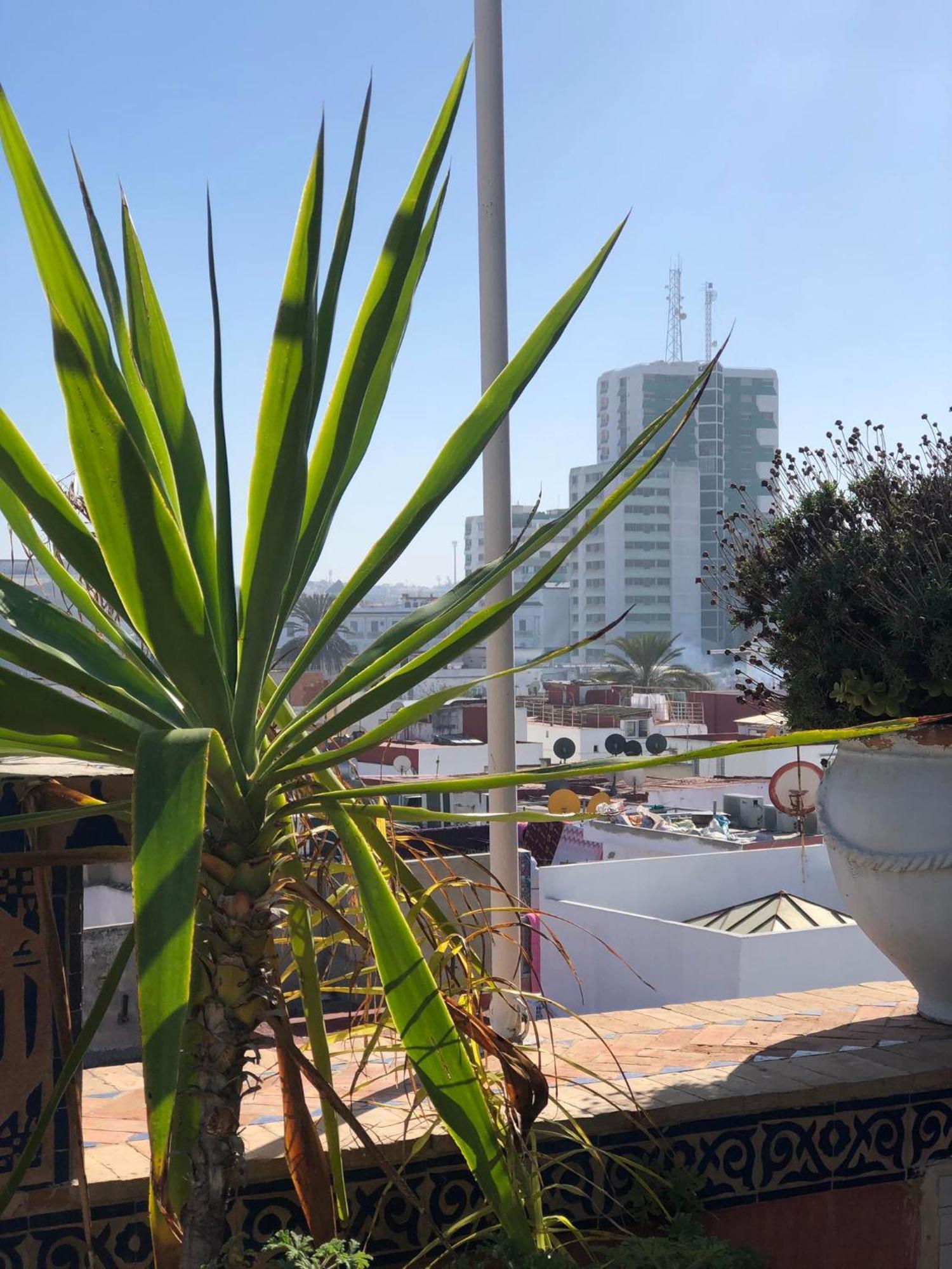 רבאט Riad Razoli Sidi Fateh מראה חיצוני תמונה